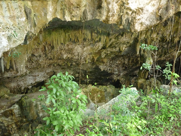 Cueva Saturno